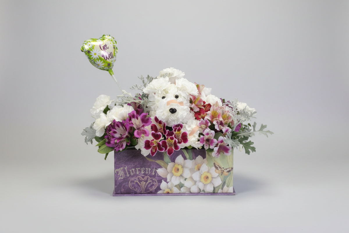 Get Well Carnation Puppy in a basket