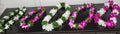 Variety Orchid Leis